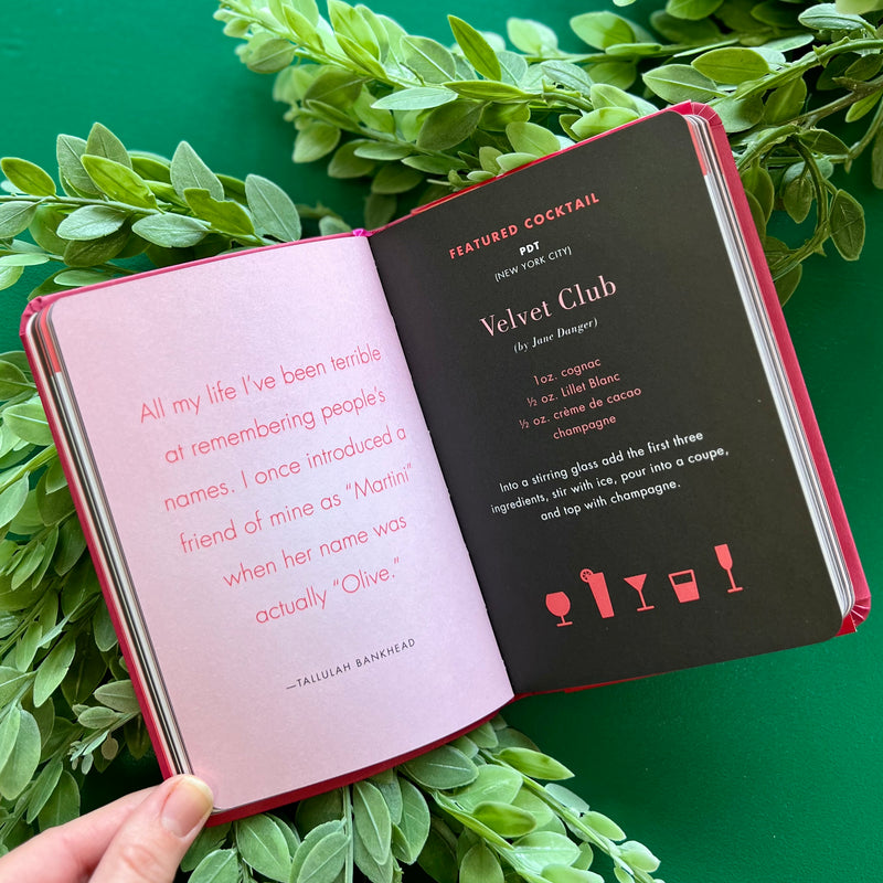 Little Pink Cocktail Book